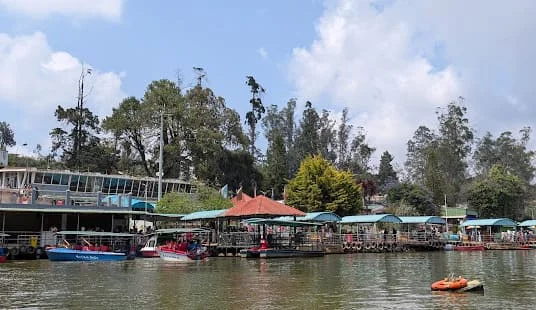 Ooty